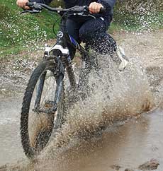 Happy Bikers